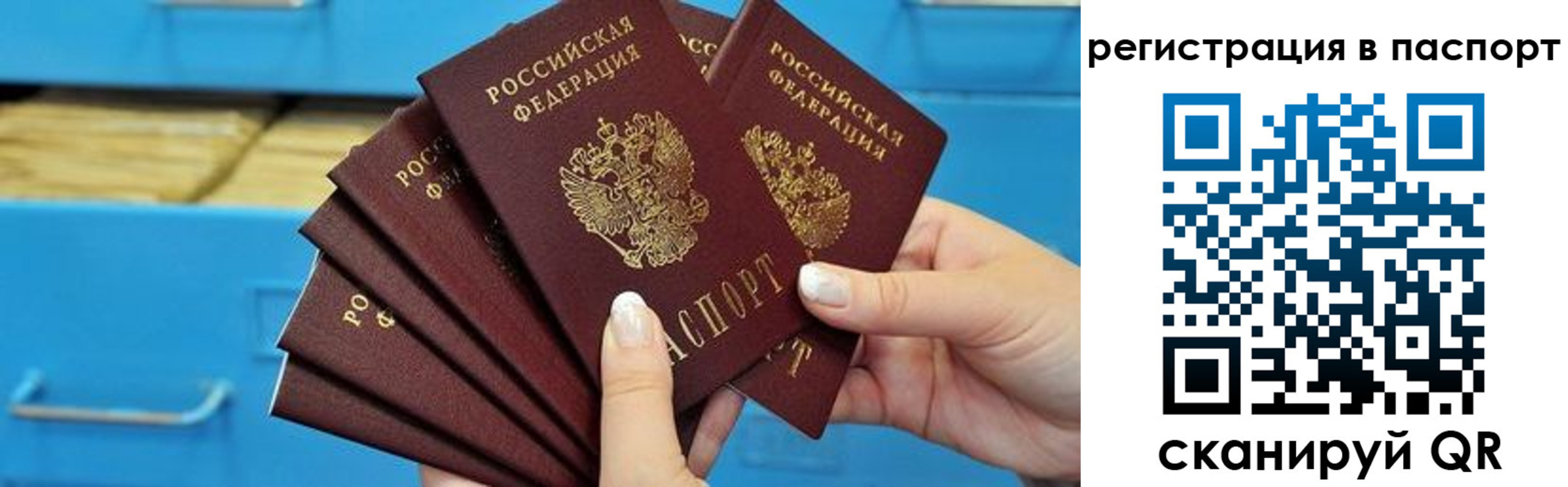 регистрация в Курской области